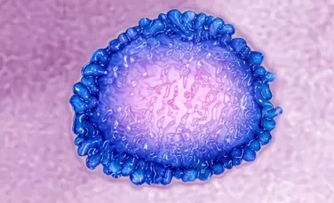 Descoperire de importanţă colosală: „călcâiul lui Ahile” al majorităţii virusurilor care afectează omenirea