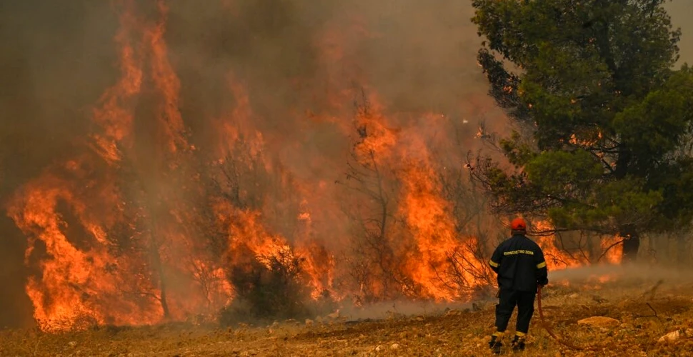Cele mai multe incendii din Grecia au fost declanșate „de mâna omului”