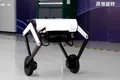 Ollie, robotul foarte simpatic care calcă pe urmele roboților de la Boston Dynamics