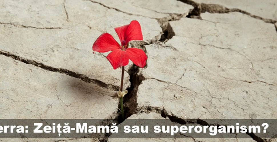 Terra: Zeiţă-Mamă sau superorganism?