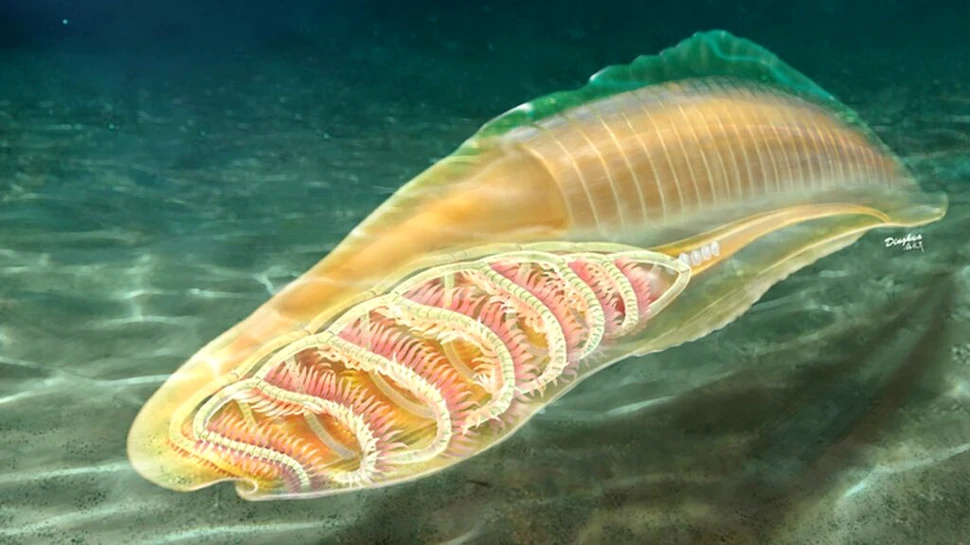 Care sunt cele mai vechi vertebrate cunoscute?