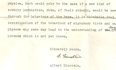 O scrisoare demult pierdută arată că Albert Einstein a prezis descoperirea super-simțurilor animale