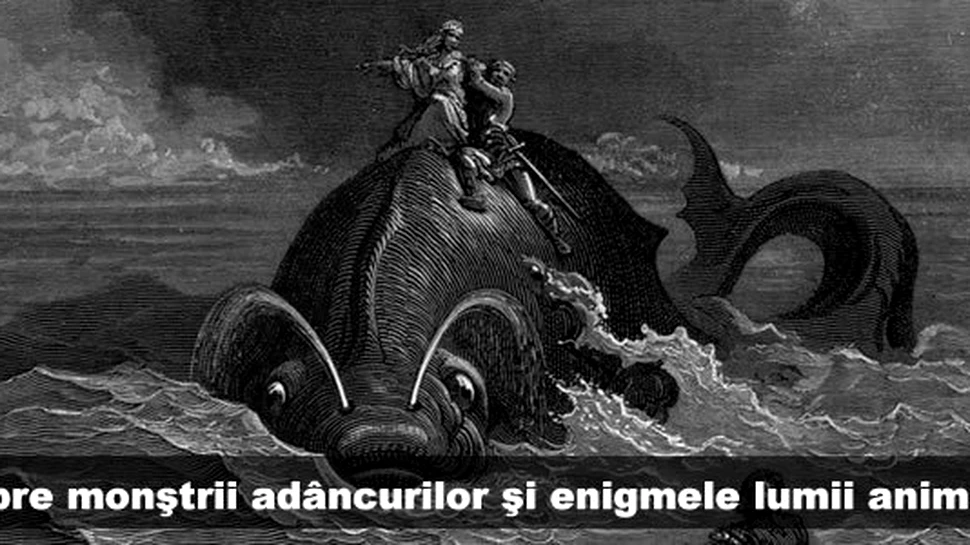 Despre monştrii adâncurilor şi enigmele lumii animale