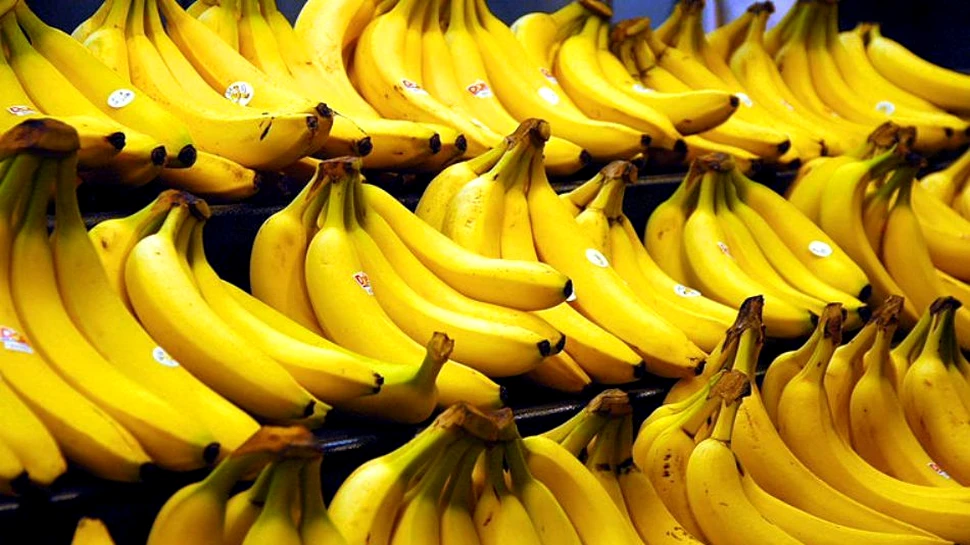Descifrarea ADN-ului bananelor poate duce la salvarea acestora