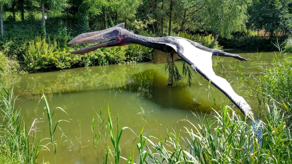 ”Dragonul de fier”, pterozaurul care vâna peştii din râurile şi lacurile din Cretacic