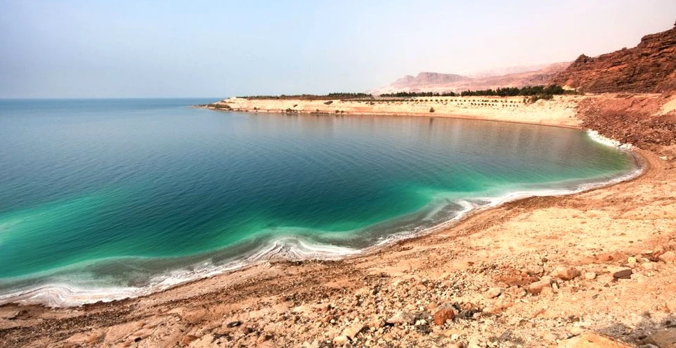 În Marea Moartă, microbii se mâncau între ei pentru a supravieţui