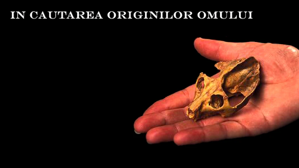 In cautarea originilor omului