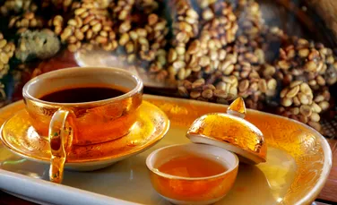 Cea mai scumpă cafea din lume: de ce kopi luwak are profilul aromatic unic