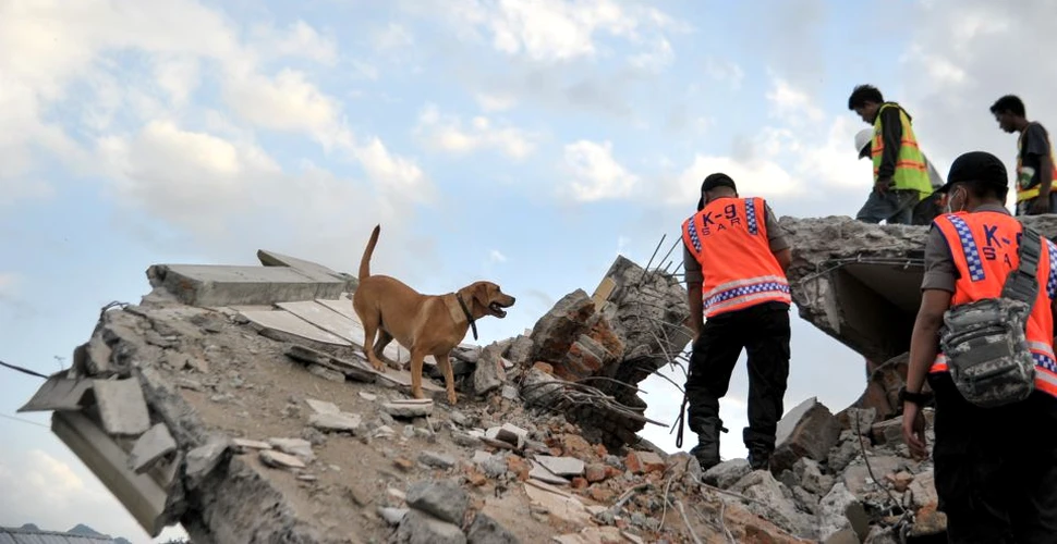 Cutremurul din Indonezia. Peste 830 de persoane au murit