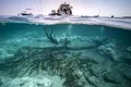 O epavă romană dezvăluie o poveste fascinantă de la Marea Adriatică de acum 2.200 de ani