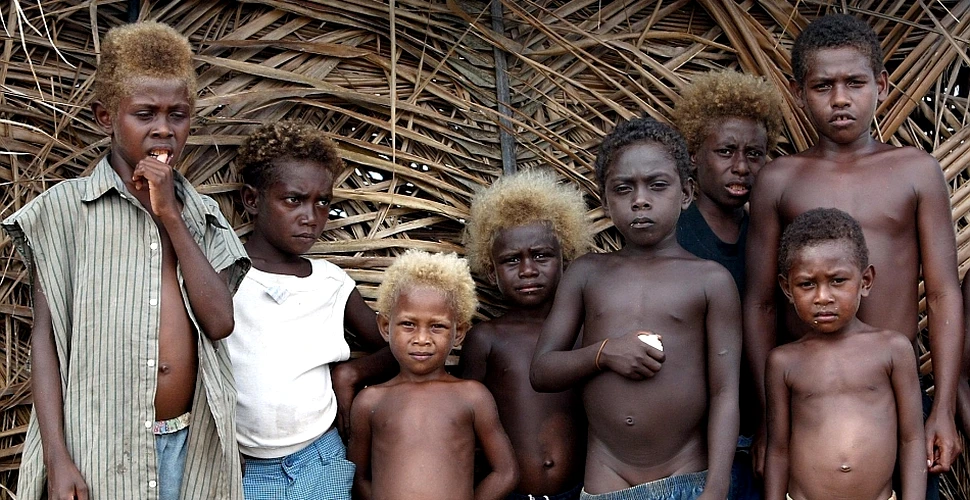 Blonzii au evoluat independent în insulele din Pacific