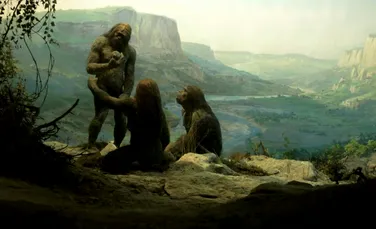 Test de cultură generală. Când a apărut Homo sapiens?