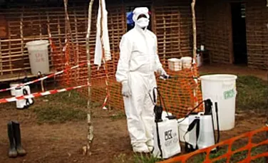 Crescator de porci infectat cu virusul Ebola