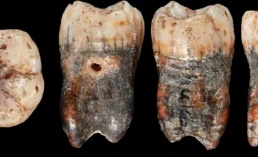 Un dinte de neanderthal a dezvăluit o legătură neștiută cu oamenii moderni