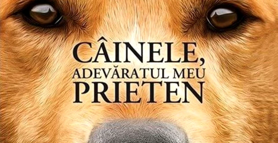 O carte pe zi: „Câinele, adevăratul meu prieten”, de W. Bruce Cameron. Naratorul său este chiar câinele