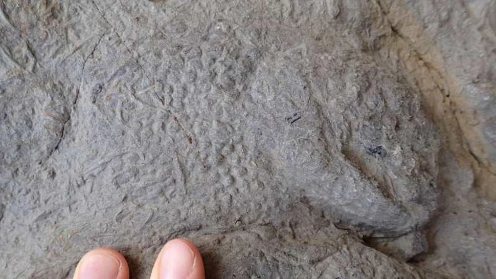 O ”comoară arheologică”, descoperită în sudul Marii Britanii