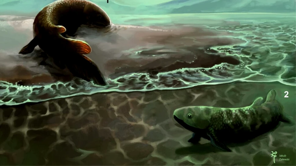 A fost descoperit momentul în care peștii au făcut primii pași pe uscat
