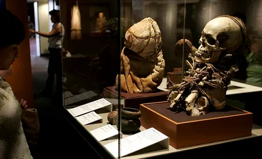 Descoperire în pădurea amazoniană din Peru: 35 de mumii din cultura preincaşă Chachapoya
