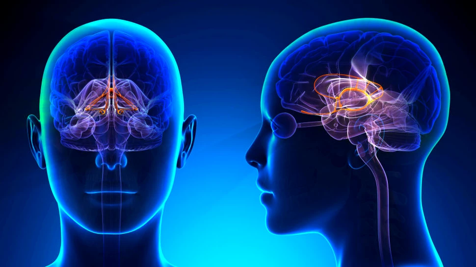 Cercetătorii au anunţat descoperirea unei boli neurodegenerative care nu a o fost observată până acum