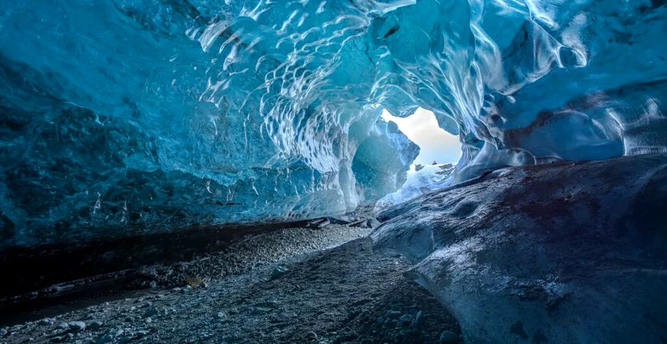 Căutarea de urși într-o peșteră din Alaska a dus la o descoperire importantă