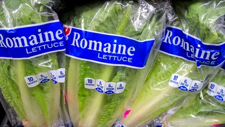 Comisia Europeană folosește Inteligența Artificială pentru a detecta alimente contaminate