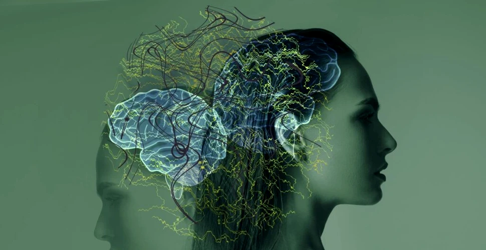 Inteligența Artificială poate identifica anxietatea pe baza structurii creierului