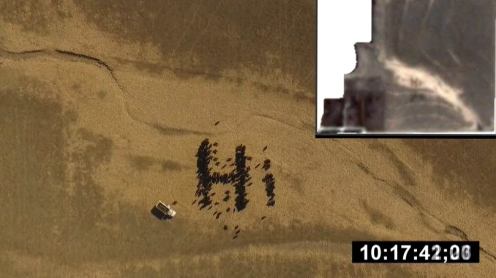 Mai multe vaci ”au scris” un mesaj care poate fi văzut din spaţiu