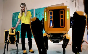 Câinii roboți de la Boston Dynamics vor fi dresați să picteze