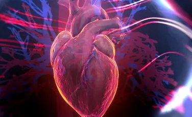 Anatomia fără bisturiu. Pot „cadavrele digitale” să înlocuiască disecția clasică?