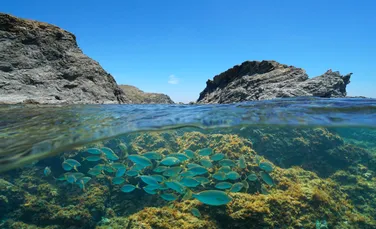 Un cartier din Marsilia este încălzit cu apă din Marea Mediterană