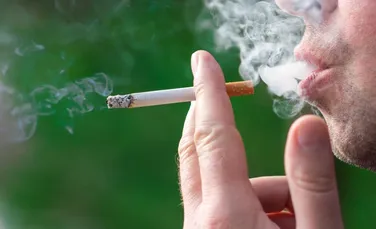 Creierul oamenilor care consumă canabis și tutun are un volum mai mic