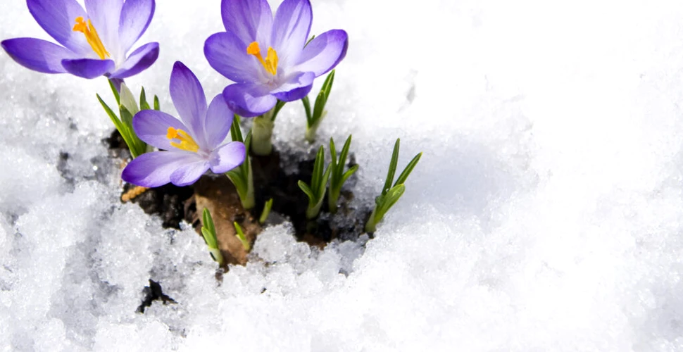 Meteorologii anunță schimbări majore în evoluția vremii