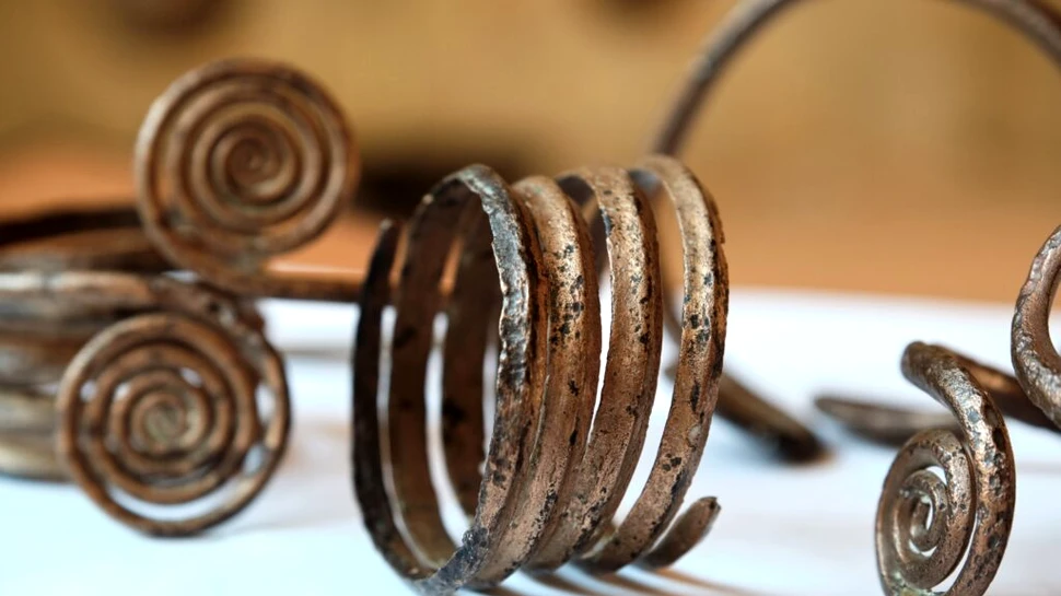 Rămășițe rare, descoperite într-un tezaur misterios