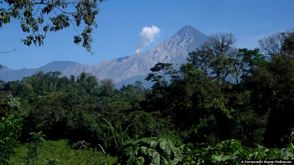 Cel puțin două persoane au murit într-o serie de cutremure în Guatemala