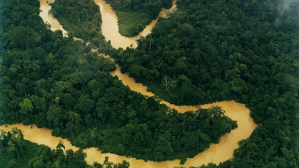 21 de miliarde de dolari in schimbul pastrarii Amazoniei