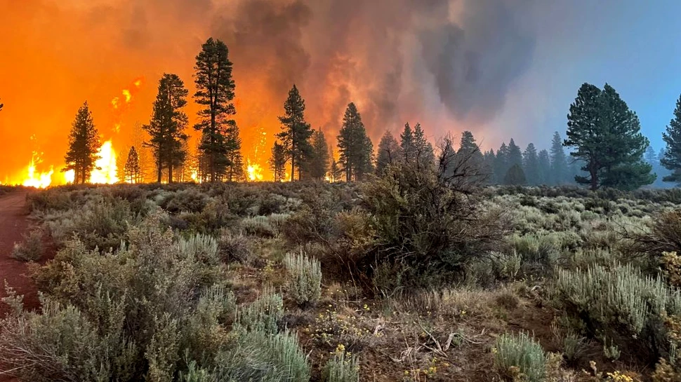 Încălzirea globală și exploatarea terenurilor vor duce la incendii de vegetație mai extreme