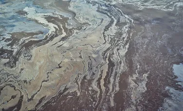 Cel puțin șapte rezervații naturale din Mexic, afectate de o deversare masivă de petrol