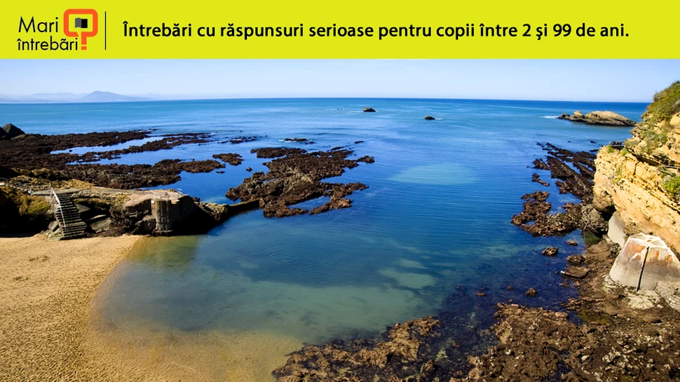 De ce mările şi oceanele lumii au flux şi reflux?
