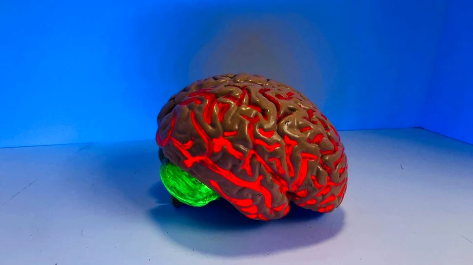 Colesterolul produs în creier pare să joace un rol cheie în dezvoltarea Alzheimer
