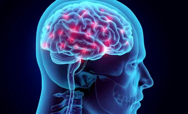Cercetătorii au descoperit modul în care creierul controlează apetitul
