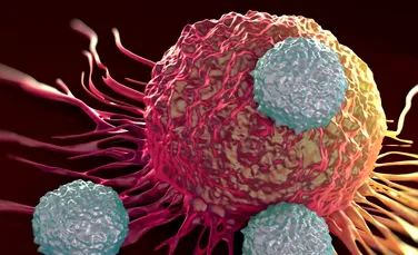 Dezvoltarea cancerului ar putea avea la bază o singură celulă