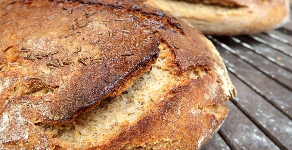Olandezii vor produce energie electrică din pâine veche