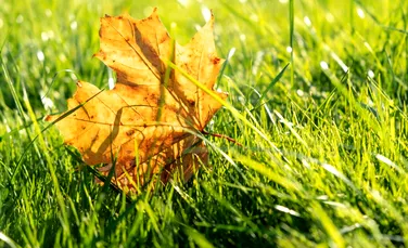 Cum va fi vremea în septembrie? Meteorologii anunță că nu scăpăm de căldură