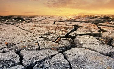 Test de cultură generală. Mai putem opri schimbările climatice?