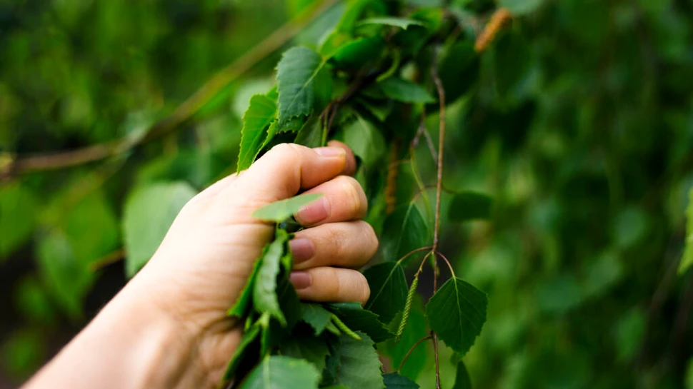 Capacitatea de adaptare a oamenilor la schimbările climatice nu este atât de puternică pe cât am crede