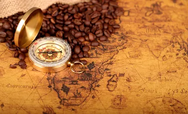 Istoria unei invenții apărute din greșeală. Cum s-a născut cafeaua decofeinizată?