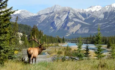 O falie ascunsă sub Canada ar putea declanșa un cutremur masiv după 12.000 de ani de liniște