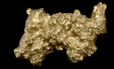 Cea mai mare pepită de aur găsită vreodată cântărea cât un om