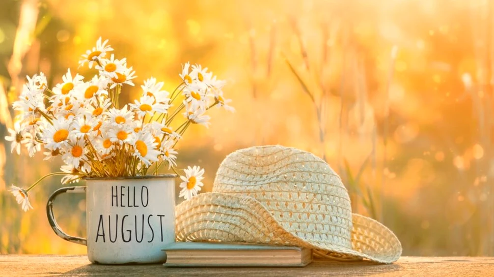 Cât de îngrijorați să fim de expunerea la Soare?