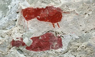 Picturi rupestre descoperite în Africa de Sud par să înfățișeze unicorni